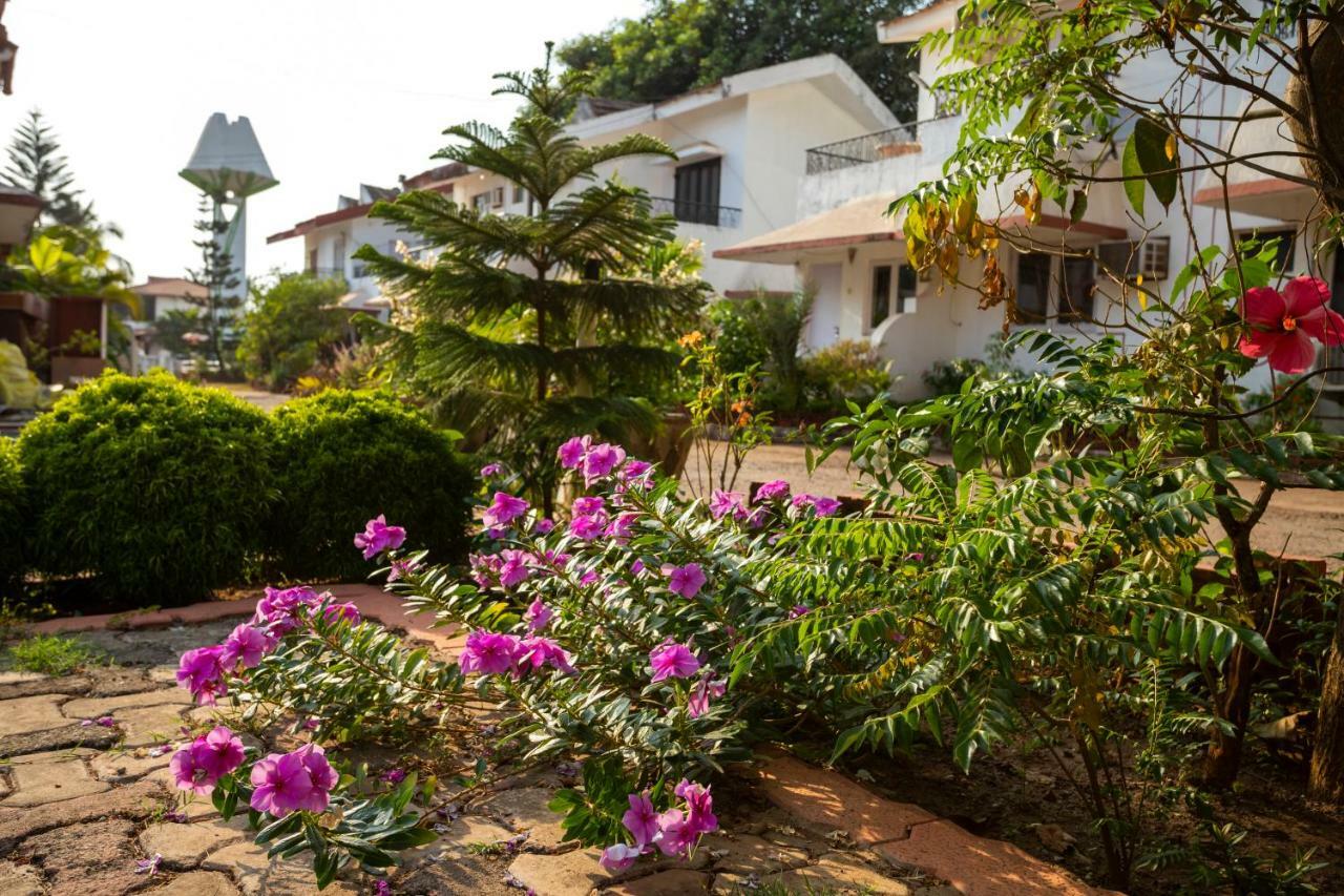 Aspirealconvilla-2Bhk-Beachtouch-Candolim Ngoại thất bức ảnh